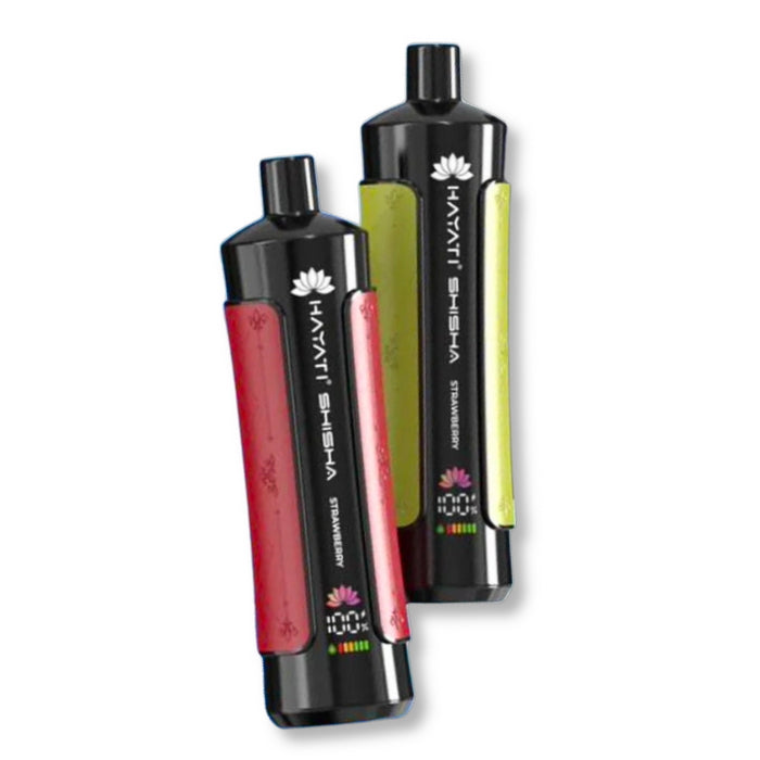 Hayati Pro Max Shisha 15000 Puffs Prefilled Vape Pod Kit - Box of 10